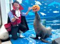 【仙台うみの杜水族館】生きものたちと一緒に楽しむハ 【仙台うみの杜水族館】生きものたちと一緒に楽しむハ