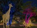 夜にしか出会えない、“イルミネイチャー”の世界『LIGH