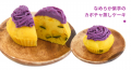 《POCHI》秋の味覚たっぷりのご馳走、「秋デリ」を9月 《POCHI》秋の味覚たっぷりのご馳走、「秋デリ」を9月