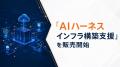インターネット・アカデミー、コンサル・開発・教育を
