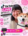 Happy Ocean合同会社・IT企業と営業代行と Happy Ocean合同会社・IT企業と営業代行と