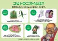 「こびとづかん」のグッズがせいぞろい！『こびとづか