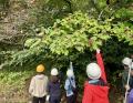 【相模原市独自】里山への理解を深め森林で新しいビジ