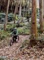 【相模原市独自】里山への理解を深め森林で新しいビジ