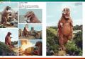 未公開写真を含む膨大な公式写真に解説を加えた貴重な