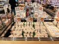 SOYSCREAM JAPANがリジェネラティブ・アイスクリーム SOYSCREAM JAPANがリジェネラティブ・アイスクリーム