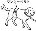 10月1日「身体障害者補助犬法施行記念日」に考えutf-8