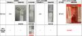 800℃×60 分加熱後も接着保持を確認 耐火接着剤「セキ 800℃×60 分加熱後も接着保持を確認 耐火接着剤「セキ
