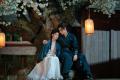 中国ドラマ『惜花芷~星が照らす道~』 地上波初放送2 中国ドラマ『惜花芷~星が照らす道~』 地上波初放送2
