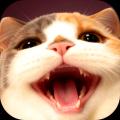 Meowster「猫の日」寄付活動が正式スタート｜猫用フー