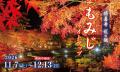 【修善寺虹の郷】伊豆最大級の体感型イルミネーション 【修善寺虹の郷】伊豆最大級の体感型イルミネーション