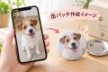 【DMM.make 3Dプリント】「ちょこんとフィギュア 1周 【DMM.make 3Dプリント】「ちょこんとフィギュア 1周