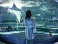 大人気「ボンボンドロップシール」にアトアオリジナル 大人気「ボンボンドロップシール」にアトアオリジナル