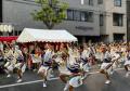 【コムシスグループ】第67回東京高円寺阿波おどりへ協 【コムシスグループ】第67回東京高円寺阿波おどりへ協
