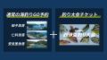ユニークな釣り大会「海釣りGO 西伊豆釣り大会2026」
