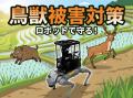 【深刻化する農作物の盗難・鳥獣害にAI・ロボットで対 【深刻化する農作物の盗難・鳥獣害にAI・ロボットで対