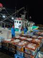 【富山・魚津】カニ籠漁発祥の地に残る漁船は3隻。は