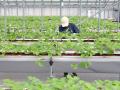 「植える」から始まる農業体験。建設コンサルタント・