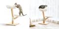 【 9月29日は招き猫の日 】
猫用品ブランド『猫utf-8 【 9月29日は招き猫の日 】
猫用品ブランド『猫utf-8