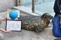 スカルプＤまつ毛美容液主催「ぱちぱちな生き物No.１