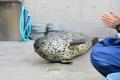 スカルプＤまつ毛美容液主催「ぱちぱちな生き物No.１