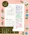 【著者累計600万部超】石井ゆかりの占い本、9月29日 (