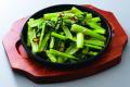 「神コスパ」【居心伝】今日は何食べる？選ぶのも楽し