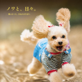 AppBank、写真集『ノワと、日々。』を起点にPersonal 