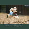 AppBank、写真集『ノワと、日々。』を起点にPersonal 