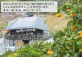 和歌山・紀の川市「観音山フルーツガーデン」で今年も