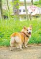 ずっと元気でいるための近道！ 食事の見直しに役立つ