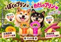 トリミングサロンの現場の声から生まれた愛犬のための