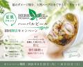 2009年誕生・約17年の実績を誇るハーブピーリング「ハ