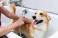 家中の“水”にもこだわったモデルハウスが 大阪府八尾