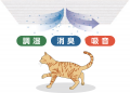愛猫と暮らす「家族時間リフォーム」を開始