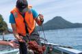 シーベジタブルの海藻を「食べる」ことから、海と人の シーベジタブルの海藻を「食べる」ことから、海と人の