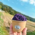 福島の秋を味わい・楽しむ2日間『海の幸サンマまつりi