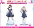 『対ありでした。～お嬢さまは格闘ゲームなんてしない
