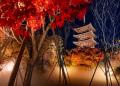 【リーガロイヤルホテル京都】仁和寺 「紅葉雲海ライ