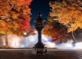 【リーガロイヤルホテル京都】仁和寺 「紅葉雲海ライ