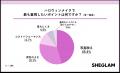 SHEGLAMがハロウィンメイクに関する意識調査を実施 約