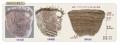 【佐賀市】8,000年前の縄文かごを現代に復元