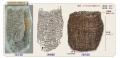 【佐賀市】8,000年前の縄文かごを現代に復元
