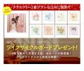 【10月限定】ブライダルフォトキャンペーン。誰かと同