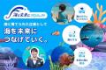 「海の挑戦を応援する」特設サイトを開設
