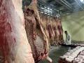 和牛輸出のWAGYU JAPAN、FUNDINNOで2回目の株式投資型