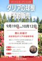 【広島／世羅】ダリアが見頃です　ダリアとガーデンマ