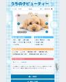 通うたびに、愛犬のアルバムが増えていく。トリミング