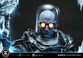 DCコミックス『バットマン』より、「Mr.フリーズ」が