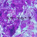 【ボーカロイド音楽専門レーベル「KARENT」配信情報】